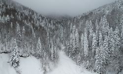 Kastamonu'nun karla kaplanan ormanları dron ile görüntülendi
