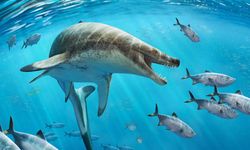 Dinozor çağında yaşamış "korkunç yüzlü" dev deniz kertenkelesi türü keşfedildi