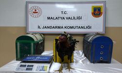 Malatya'da horoz dövüştüren 2 kişiye 14 bin 432 lira ceza verildi