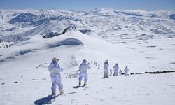 Jandarma karlı dağlarda terörle mücadeleyi sürdürüyor