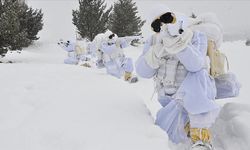 MSB, Derin Kar ve Şiddetli Soğuklarda Muharebe Kursu'nun yapıldığını duyurdu