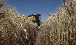 Tarım ÜFE şubatta aylık yüzde 7,18, yıllık yüzde 58,29 arttı