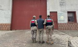 Elazığ'da FETÖ operasyonunda 2 kişi yakalandı
