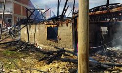 Bursa'da kırsal mahallede çıkan yangında 4 ev zarar gördü