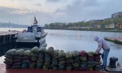 İstanbul'da kaçak midye avlayan 2 kişiye 52 bin 484 lira para cezası kesildi