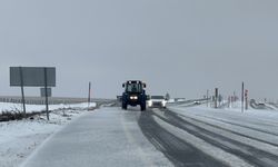 Kars'ta nisanda kar etkili oldu