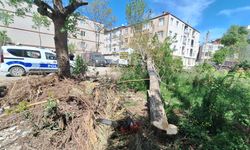 Samsun'da kesilen ağaç elektrik telini koparıp bir aracın üzerine düştü