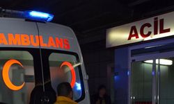 Giresun'da silahlı kavgada 1 kişi yaralandı