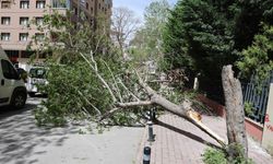 Konya'da fırtına çatıları uçurdu, ağaçları devirdi