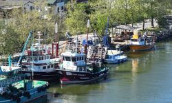 Sakarya, Zonguldak ve Kocaeli'de balıkçılar, av yasağının başlamasıyla limanlara demirledi