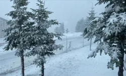 Bolu'nun yüksek kesimlerinde nisanda kar etkili oldu