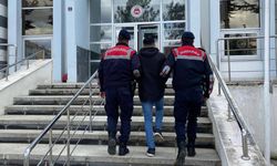 Diyarbakır Sur Belediyesindeki olaylarla ilgili 1 kişi tutuklandı
