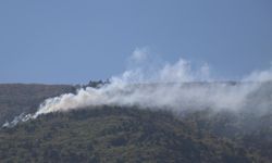 Bursa'da, Uludağ eteklerinde çıkan orman yangını kontrol altına alındı