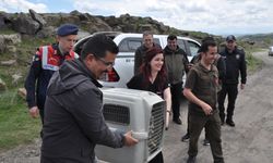Kars'ta tedavisi tamamlanan kara akbaba ve bozkır kartalı doğaya bırakıldı