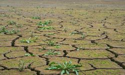 İklim değişikliği Trakya'da kuraklığa neden olabilir