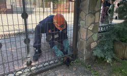 Bolu'da başı demir kapıya kafası sıkışan köpek yavrusunu itfaiye kurtardı