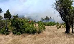 Bursa'da makilik alanda etkili olan yangın kontrol altına alındı