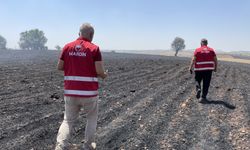 Diyarbakır ve Mardin arasındaki anız yangınına yönelik hasar tespit çalışması yapılıyor