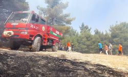 Denizli'nin Buldan ilçesinde orman yangını çıktı