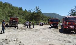 Sinop'ta çıkan yangında 3,5 hektarlık ormanlık alan zarar gördü