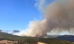 Yeni haftada sıcaklık artıyor: Batı ve güney bölgelerinde orman yangını riski