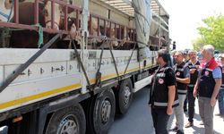 Kırıkkale'de kurbanlık taşıyan araçlar denetlendi