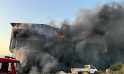 Aydın'da otluk alanda başlayan ve bir fabrikaya sıçrayan yangına müdahale ediliyor