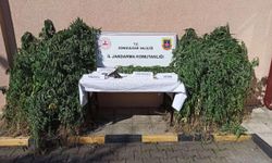 Zonguldak'ta uyuşturucu operasyonlarında yakalanan 3 zanlı tutuklandı