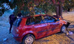 Balıkesir'de ağaca çarpan otomobildeki 2 kişi öldü, 6 kişi yaralandı