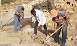 Diyarbakır'da 1500 yıllık kilise kalıntısında yapılan kazılarda denizyıldızı fosili bulundu