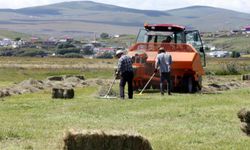 Ardahan'da ot biçme mesaisi başladı