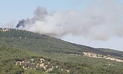 Gaziantep'te çıkan orman yangınına müdahale ediliyor