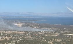 İzmir'in Çeşme ilçesinde makilik ve otluk alanda yangın çıktı