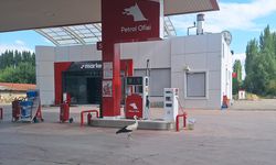 Sivas'ta uçamayan leylek yavrusu benzin istasyonunun misafiri oldu