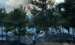 Gaziantep'teki örtü yangınında 2 dönüm alan zarar gördü