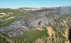 Manisa'nın Kula ilçesindeki orman yangını söndürüldü