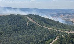 Balıkesir'de çıkan orman yangını devam ediyor