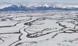 Türk bilim insanı ekibiyle Kuzey Kutup Bölgesi'nde tahrip olan arazileri onaracak