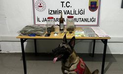 Çeşme'de düzenlenen operasyonda 1.5 kilogram uyuşturucu ele geçirildi