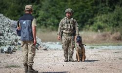 Eğitimli köpeklere entegre edilen uzaktan komuta kontrol sistemi Mehmetçiğin arazideki gözü olacak