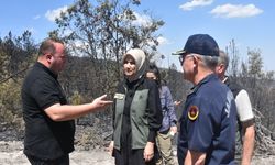 Afyonkarahisar'daki orman yangınıyla ilgili 1 kişi gözaltına alındı