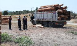 Çanakkale'de üzerine tomruk düşen sürücü öldü