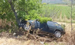 Manisa'da ağaca çarpan otomobilin sürücüsü öldü