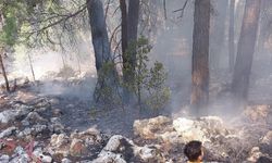 Burdur'da çıkan orman yangını söndürüldü