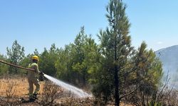 Mersin'de 4 noktada çıkan orman yangınları söndürüldü