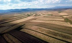 Kars'ta işlenmeyen tarım arazileri çiftçilere kiralanacak