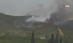 Tuzla'da ağaçlık alanda yangın çıktı