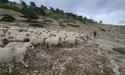 Amasya'da yaylacıların dönüş yolculuğu başladı