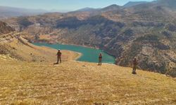 Siirt'te fıstık hırsızlığına karşı jandarmadan dronla denetim