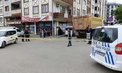 Erzurum'da kamyonun çarptığı yaya öldü